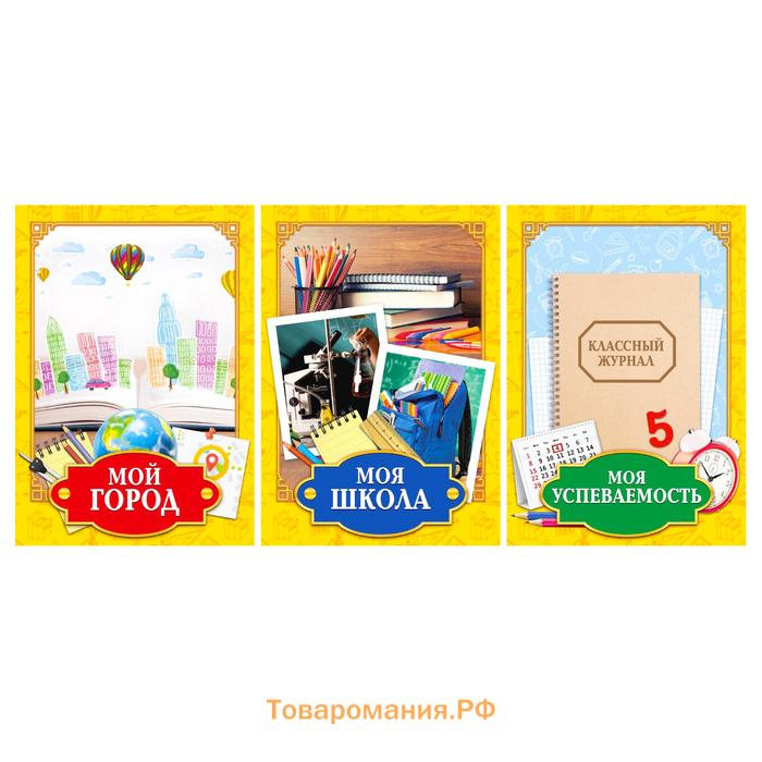 Папка школьная на кольцах «Портфолио школьника», 13 листов-разделителей, 24,5 х 32 см.