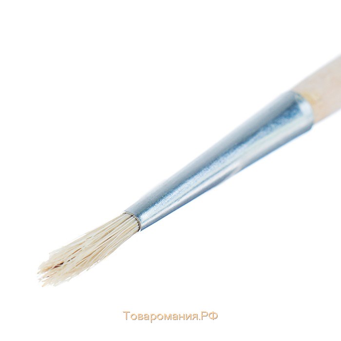 Кисть Щетина круглая № 2 (диаметр обоймы 2 мм; длина волоса 12 мм), деревянная ручка, Calligrata
