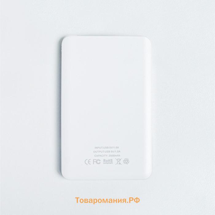 Зарядное устройство «Зарядись волшебством», 2500 mAh