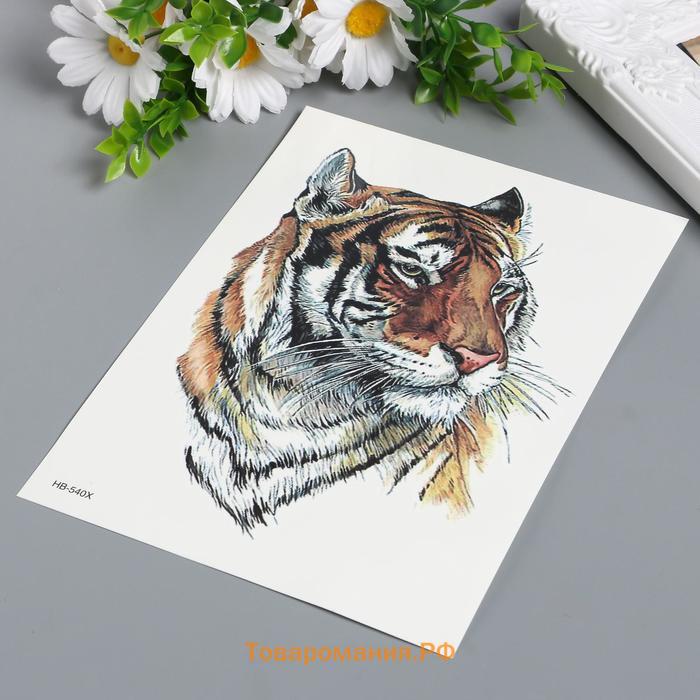 Татуировка на тело цветная "Амурский тигр" 21х15 см