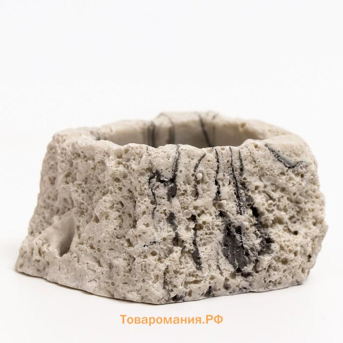 Кормушка для террариума, 5 х 4 х 3 см