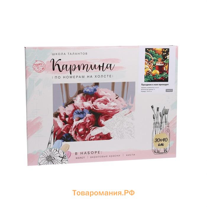 Картина по номерам на новый год на холсте с подрамником «Праздник к нам приходит», 30 × 40 см