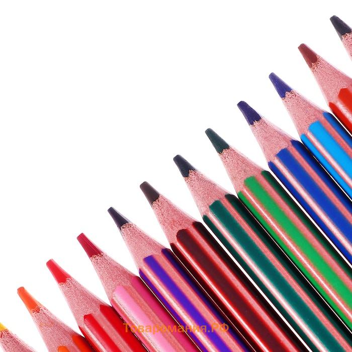 Карандаши цветные 12 цветов , BIC "Kids Evolution Stripes", пластиковые, детские