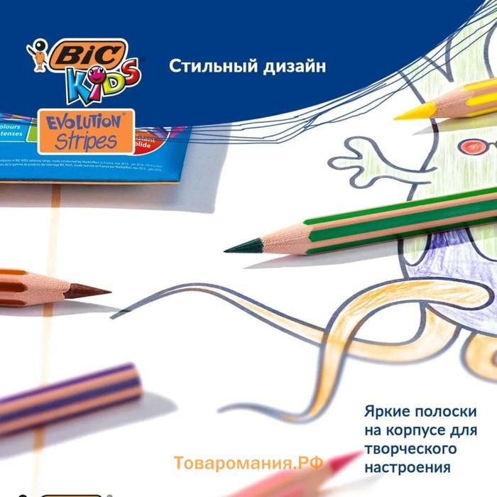 Карандаши цветные 12 цветов , BIC "Kids Evolution Stripes", пластиковые, детские