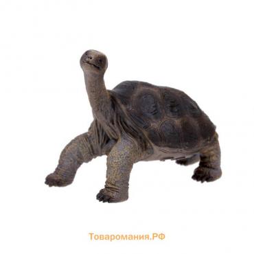 Фигурка «Абингдонская слоновая черепаха»