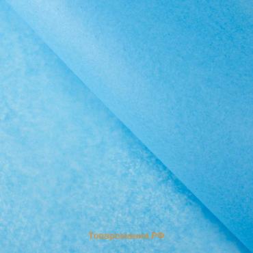 Бумага упаковочная тишью, голубая, 50 см х 66 см