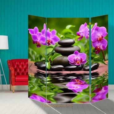 Ширма "Орхидеи. Гармония", 160 × 160 см