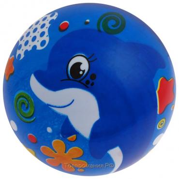 Мяч детский ZABIAKA «Дельфинчик», d=22 см, 60 г