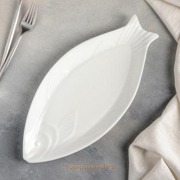 Блюдо фарфоровое Magistro «Рыбка», 35×16,5×3 см, цвет белый