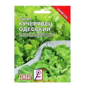 Семена ХХХL Салат "Кучерявец одесский", 10 г