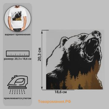 Термотрансфер «Дикий медведь», 18,6 × 20,3 см, цена за 1 лист