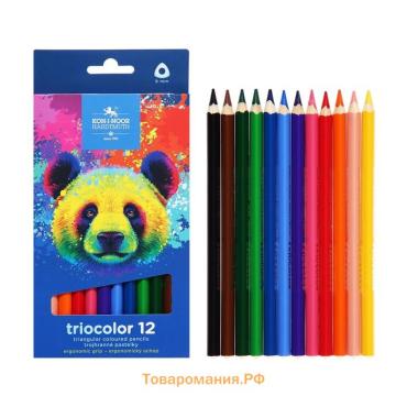 Карандаши Jumbo 12цв K-I-N 3142 Triocolor bear, утолщ, трехгранные, карт/уп