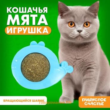 Игрушка для кошек «Кит» из кошачьей мяты