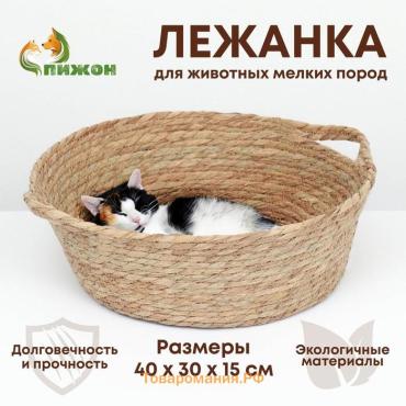 Экологичный лежак для животных (хлопок+рогоз),  40 х 30 х 15 см,